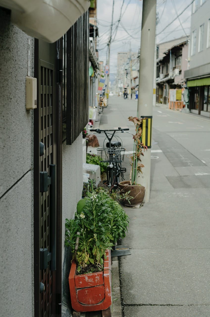 Превью Kyoto 2024